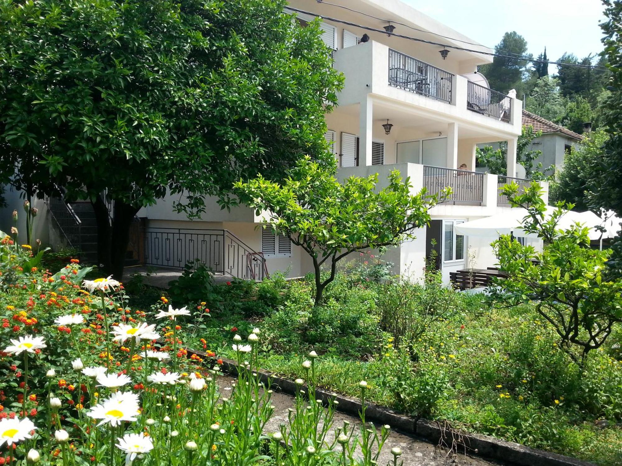 Apartments Pejanovic Kotor Ngoại thất bức ảnh